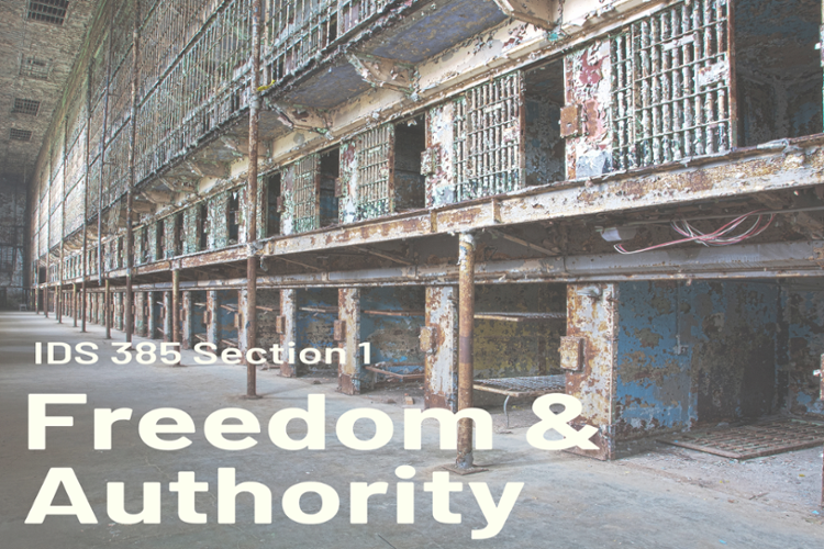 freedom and authority 